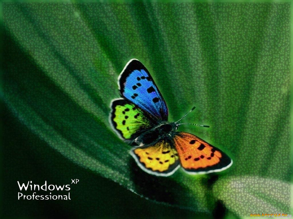 , windows, xp